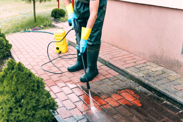 Best Solar Panel Cleaning  in Treasure Island, FL